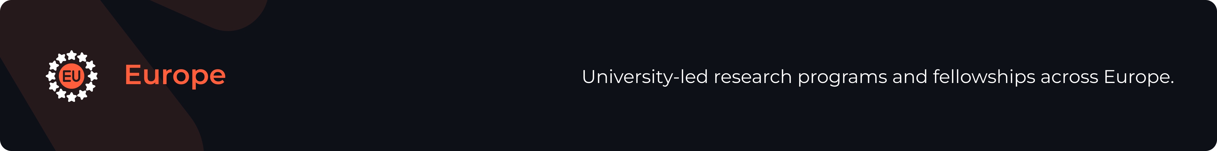 University-led research programs and fellowships across Europe.
